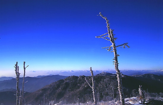 블루(Blue) 이미지