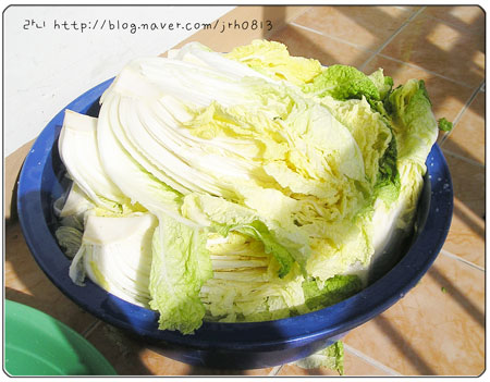 전라도김치 이미지