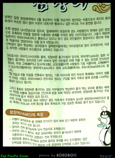 참장어 이미지