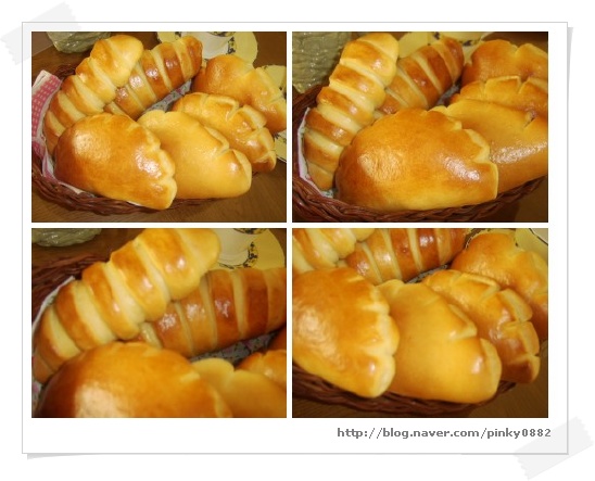 마이따 이미지