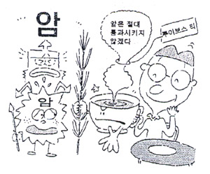 한국루이보스 이미지