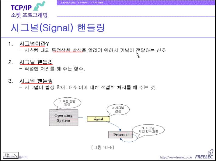 시그널sa 이미지