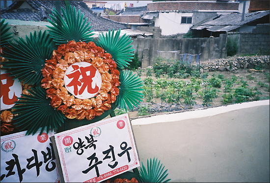 차차차다방 이미지