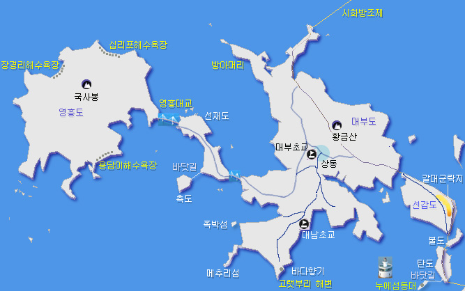 대부도 안개꽃 이미지