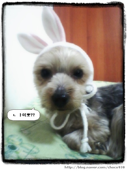 마징가2 이미지