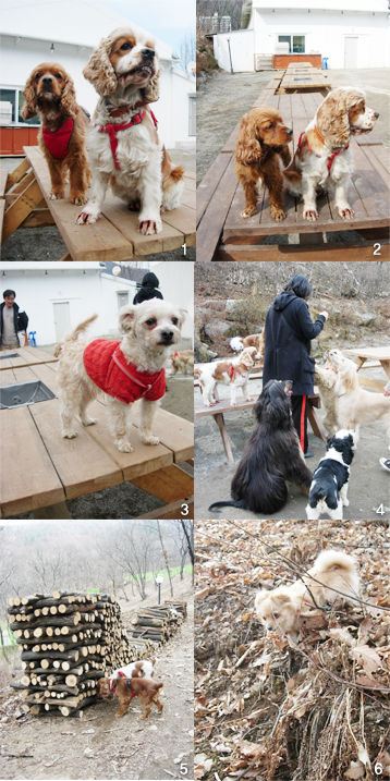 화랑장 이미지
