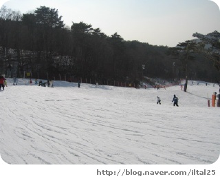 (주)제풀 이미지