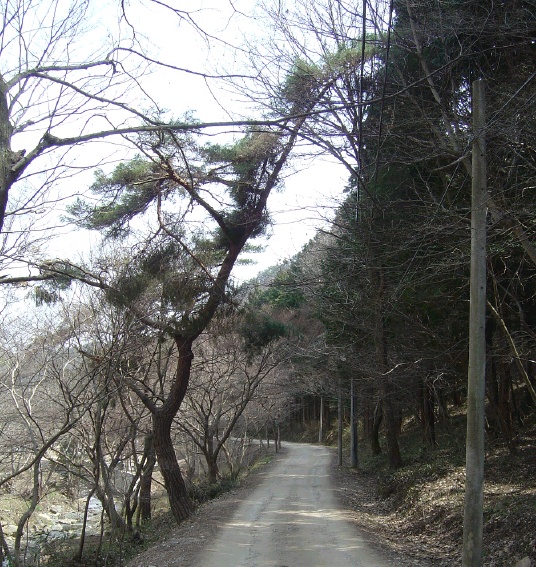 운주사주유소 이미지