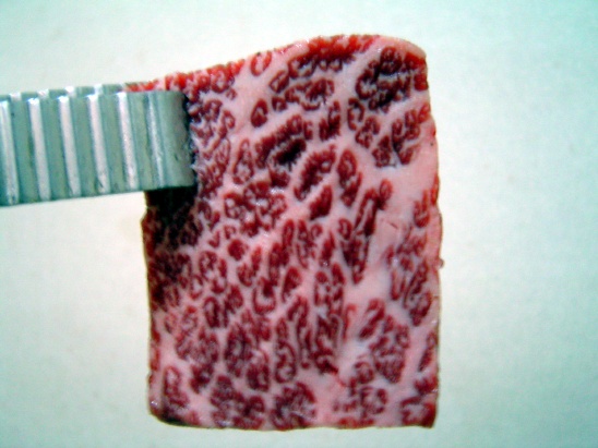 맘포식당 이미지