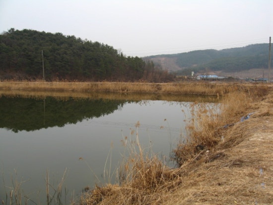 이방주유소 이미지