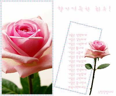 소꼽친구 이미지