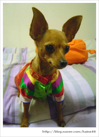 이쁜이한복 이미지