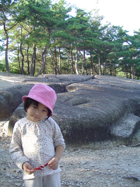 돌산농원 이미지