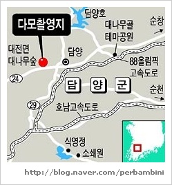 다모숲 이미지
