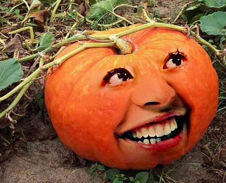 호박공주 이미지