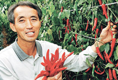 법률사무소밀알 이미지