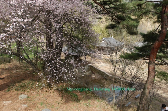 부용당별 이미지
