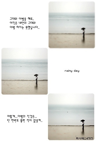 데이레인 이미지