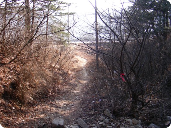 월두봉 정상 이미지