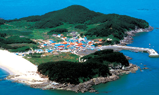 서해안(주) 이미지