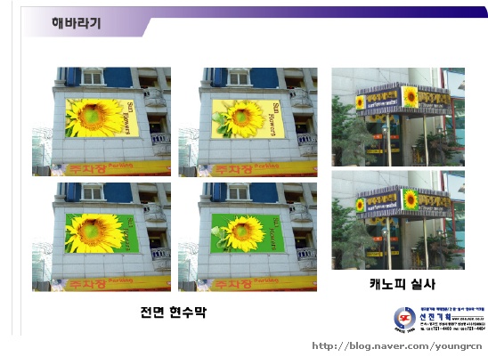 해바라기모텔 이미지