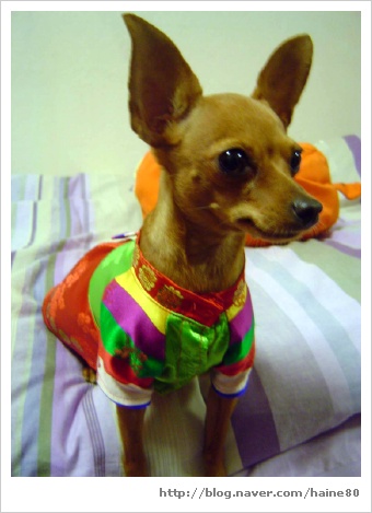 이쁜이한복 이미지