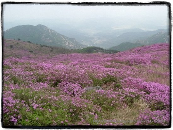 산장민박 이미지