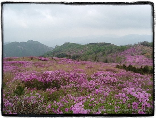 산장민박 이미지