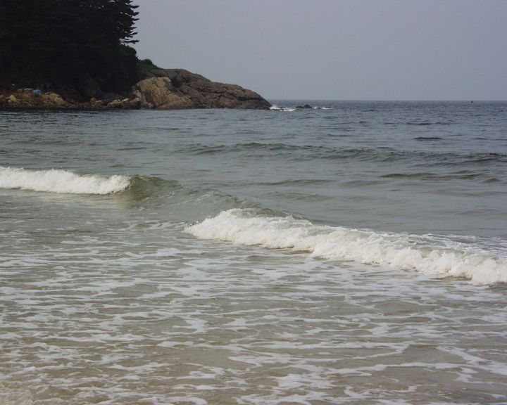 바다의향기 이미지