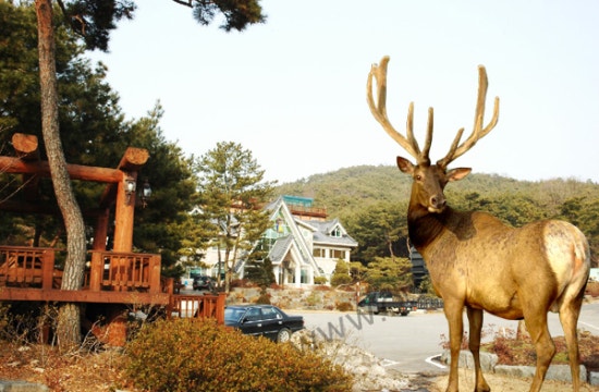덕산관광농원 이미지
