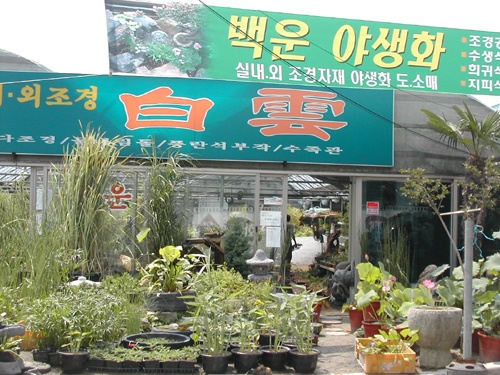 백운조경 이미지