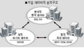 대안정보 이미지
