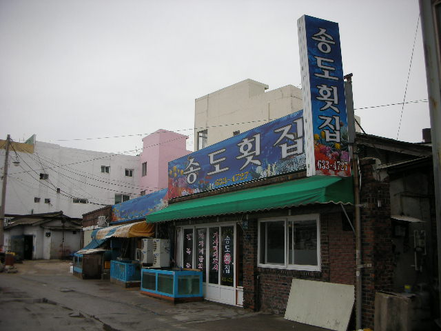 속초세꼬시 이미지