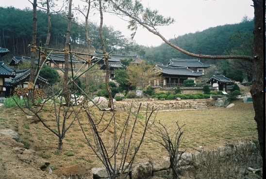 봄조경 이미지