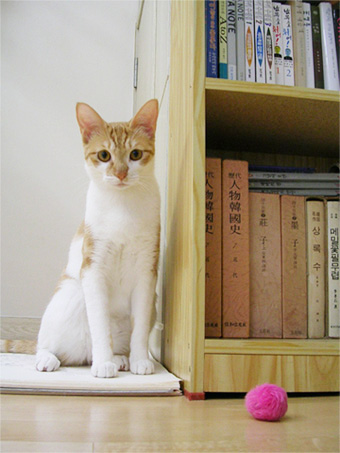 놀아줘 이미지