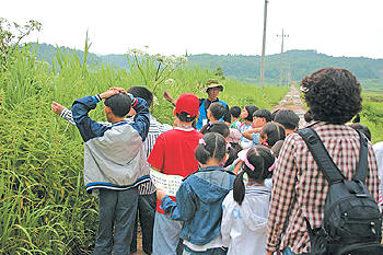 자연학교들꽃그리고곤충 이미지