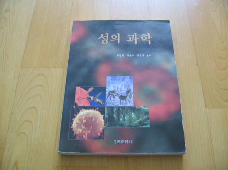 성의문화사 이미지