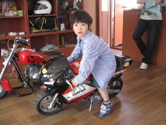 카트렌드 이미지