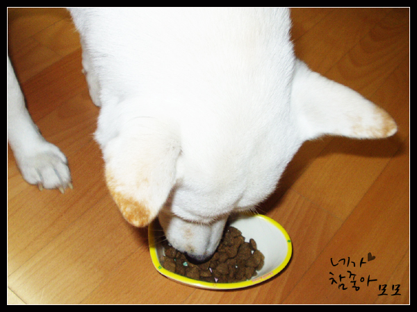 당첨마트3 이미지