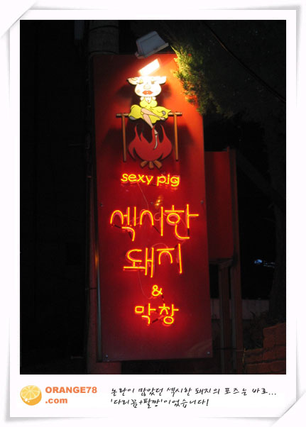 섹시한돼지 이미지