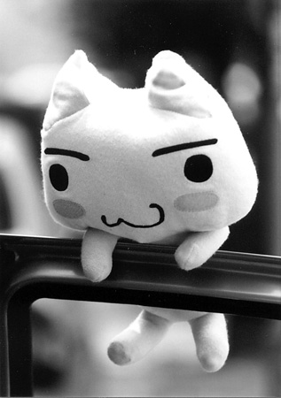 토로(TORO) 이미지