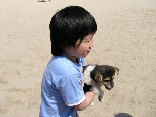방산초등학교 이미지