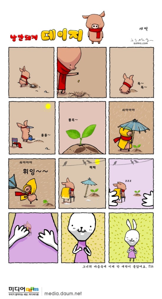 낭만돼지 이미지