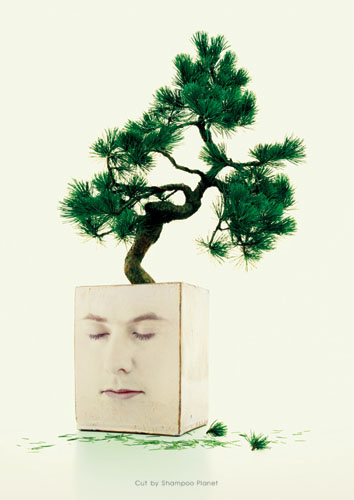 꽃:단장헤어 이미지