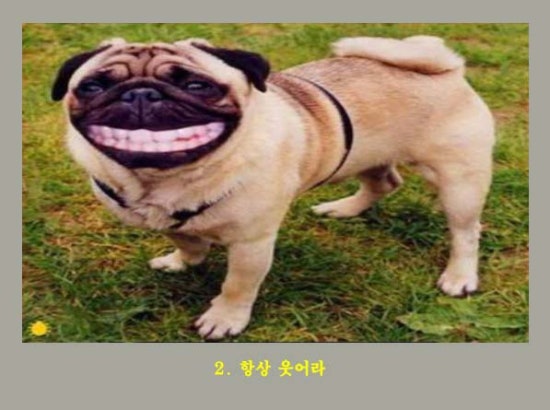 복 이미지