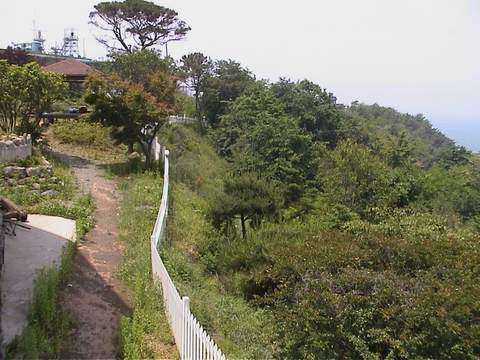 바다사랑펜션 이미지