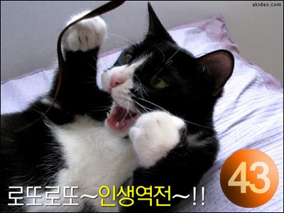 인생역전 이미지