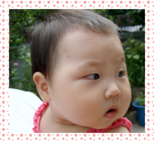 정아나고 이미지