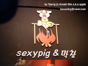 섹시한돼지 이미지