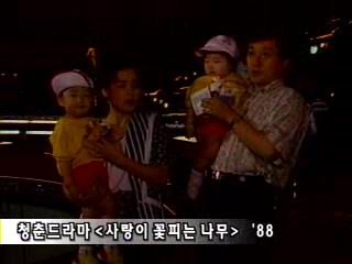 사랑이꽃피는나무 이미지